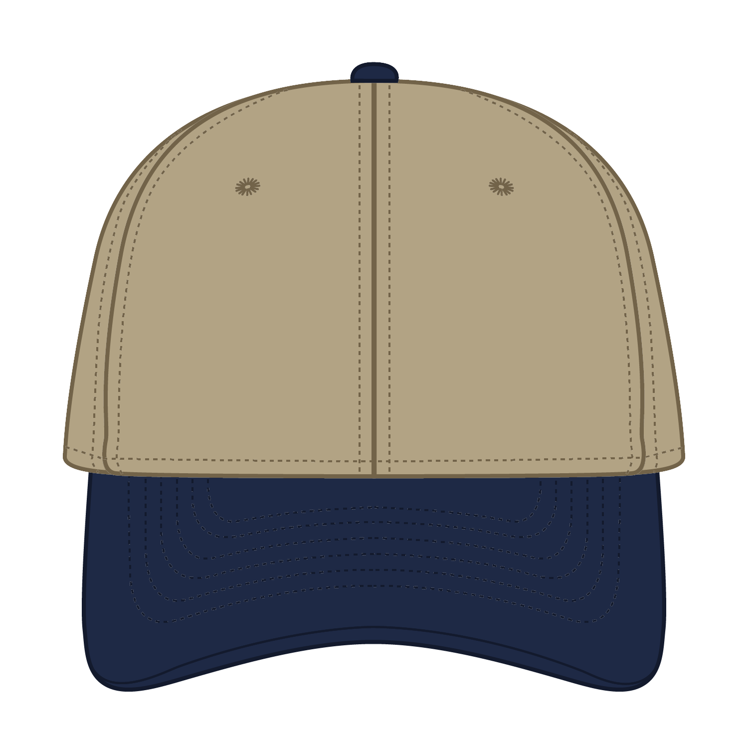 19-1229 OTTO CAP 6 Panel Low Profile Baseball Cap