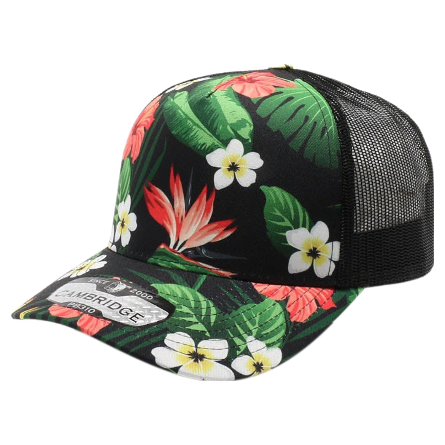 SKU:310BK2|COLOR:Black 2/Black