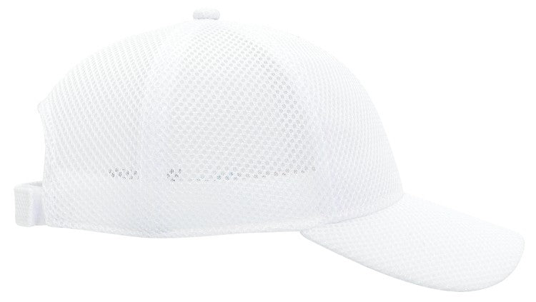 19-1036 OTTO CAP 6 Panel Low Profile Baseball Cap
