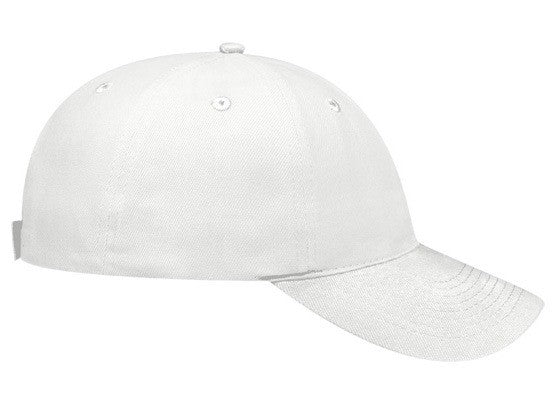 18-253 OTTO CAP 6 Panel Low Profile Baseball Cap